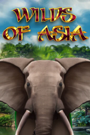 Wilds of Asia играть бесплатно | Казино Гранд игровые автоматы